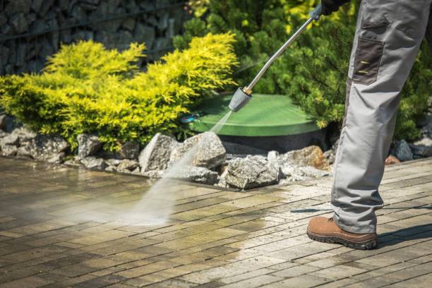 Best Driveway Pressure Washing  in Tarpey Village, CA