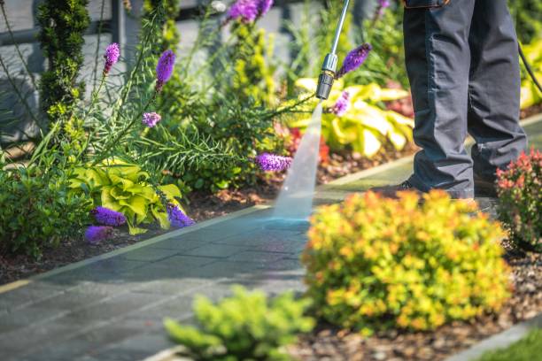 Best Patio and Deck Pressure Washing  in Tarpey Village, CA